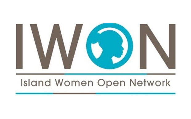 Inaugural meeting of SIDS DOCK Island Women Open Network committee held in New York
