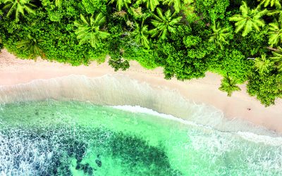 Conservation finance: Seychelles’ troubled waters